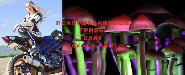 гашик Лиски