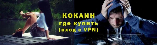 хмурый Липки