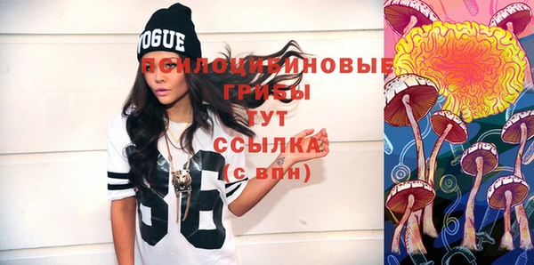 хмурый Липки