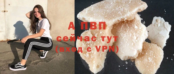 хмурый Липки
