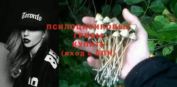 хмурый Липки