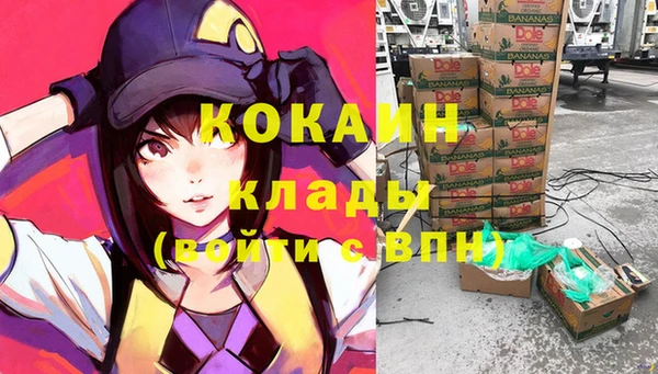 гашик Лиски