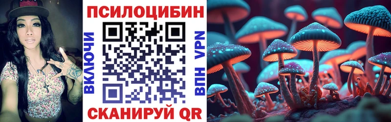Купить где  Ростов  Галлюциногенные грибы прущие грибы 