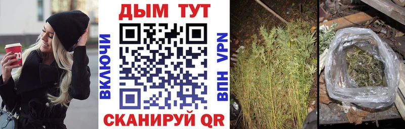 Купить где  Ростов  Бошки марихуана индика 